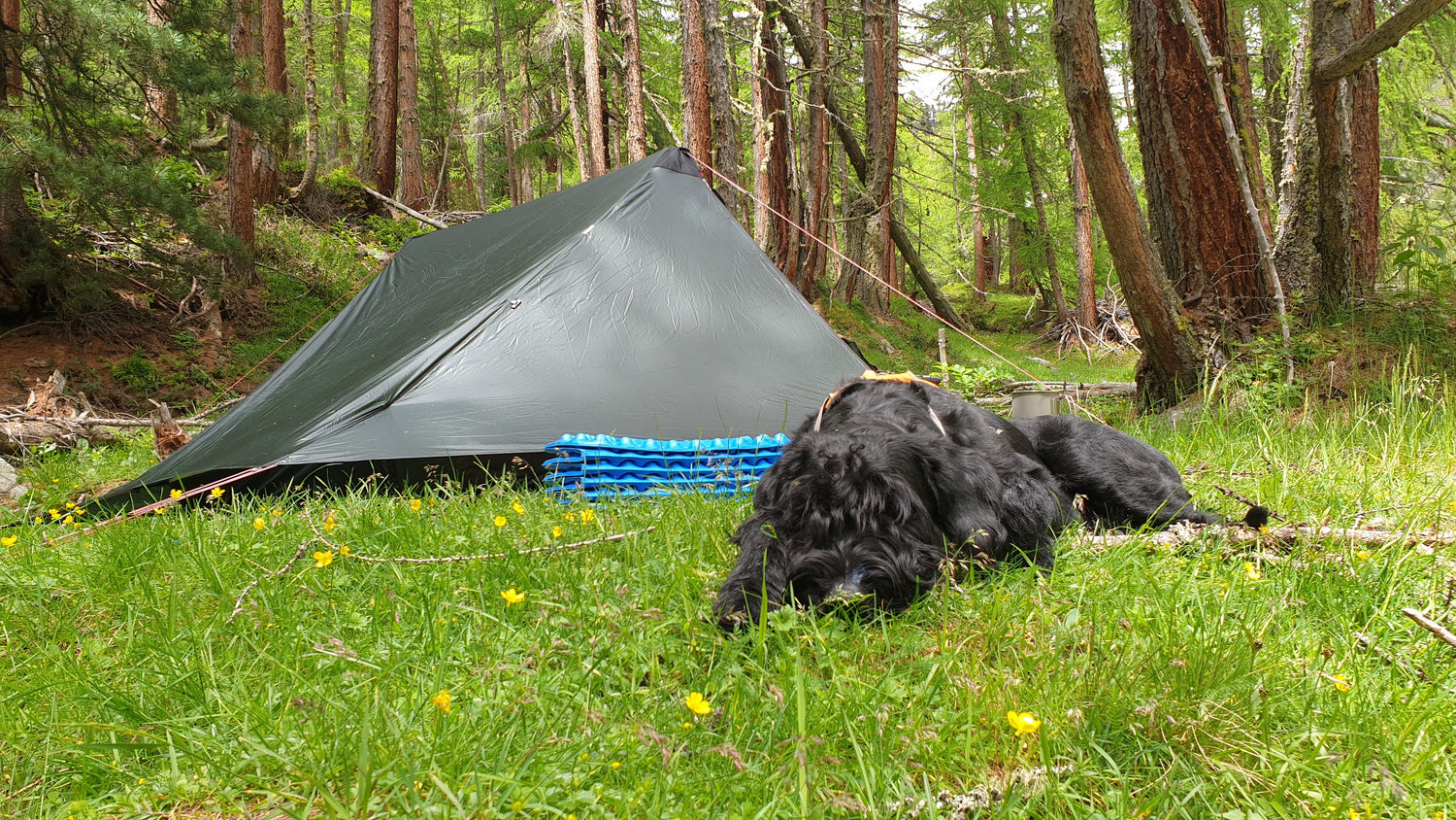 Hilleberg Anaris
