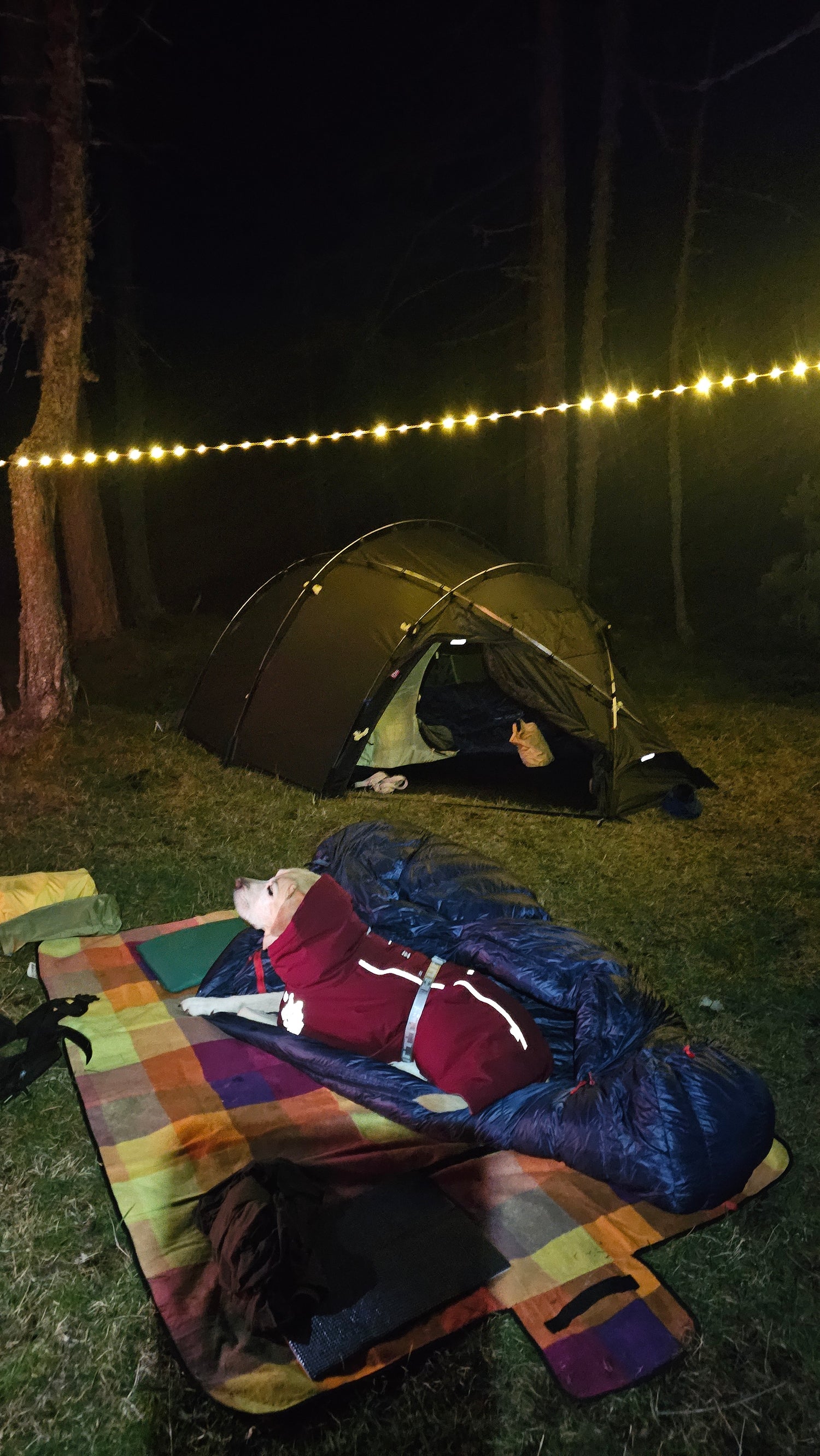 NORTENT Vern 1 Vier-Jahreszeiten-Zelt