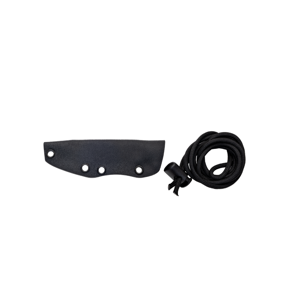 Wildsteer Scorpion