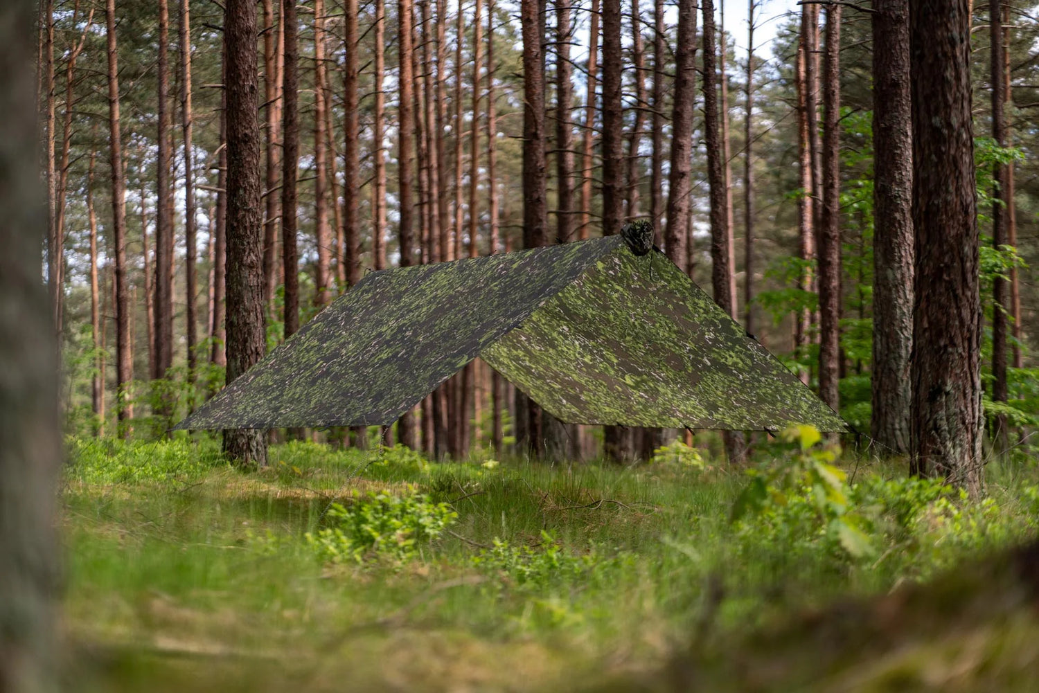 Lesovik GROZA FARBA F1 Frondlair Tarp