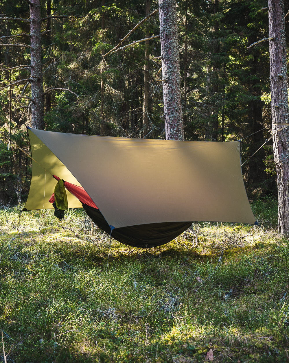 Lesovik Heksa Tarp