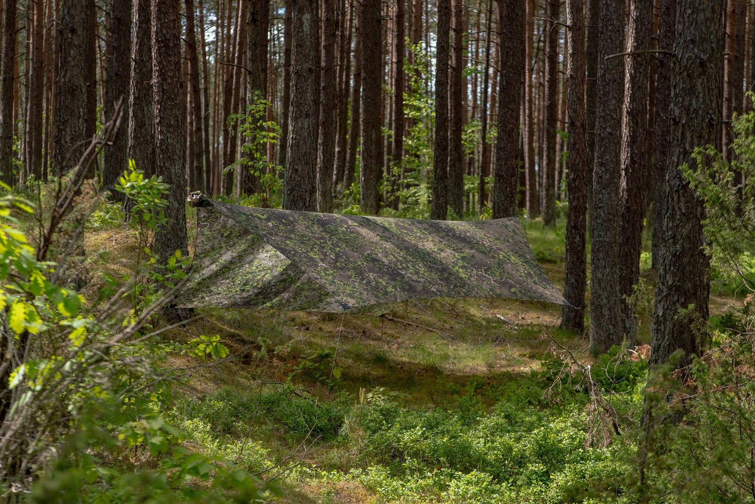 Lesovik Heksa Tarp