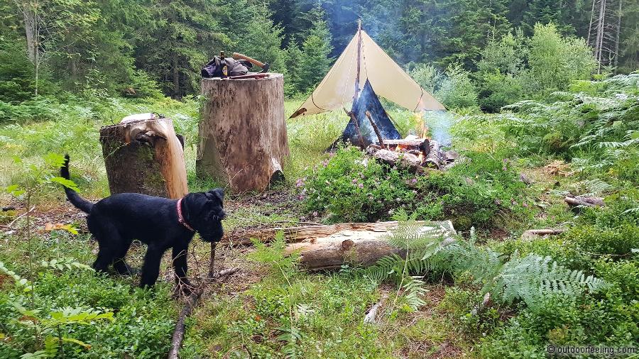 Hilleberg Mesh Tent 1