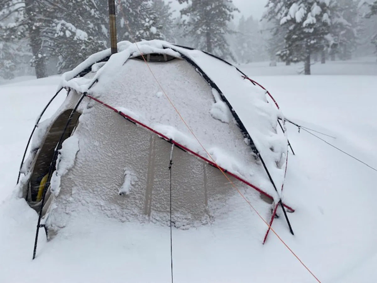 NORTENT Gamme 8 PC Großes Polycotton-Zelt