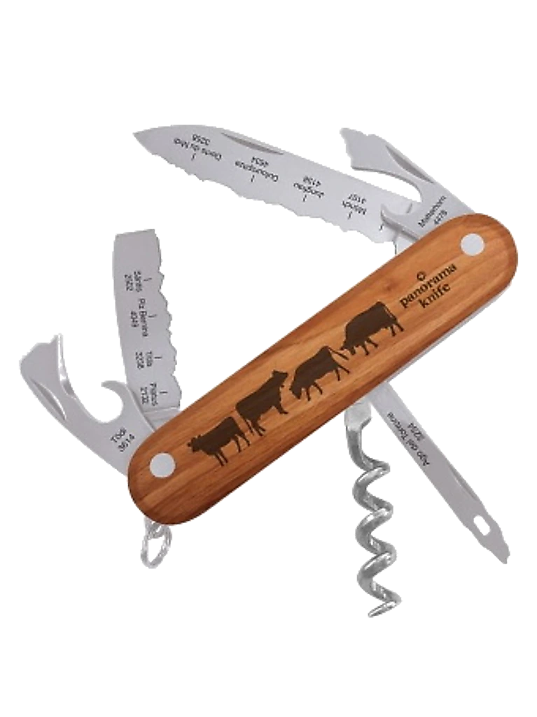 PanoramaKnife Best of Swiss Alps