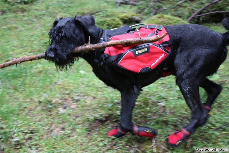 Ruffwear Hunderucksack Palisades Pack