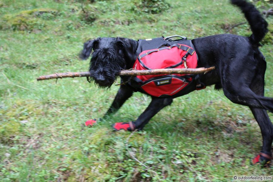 Ruffwear Hunderucksack Palisades Pack