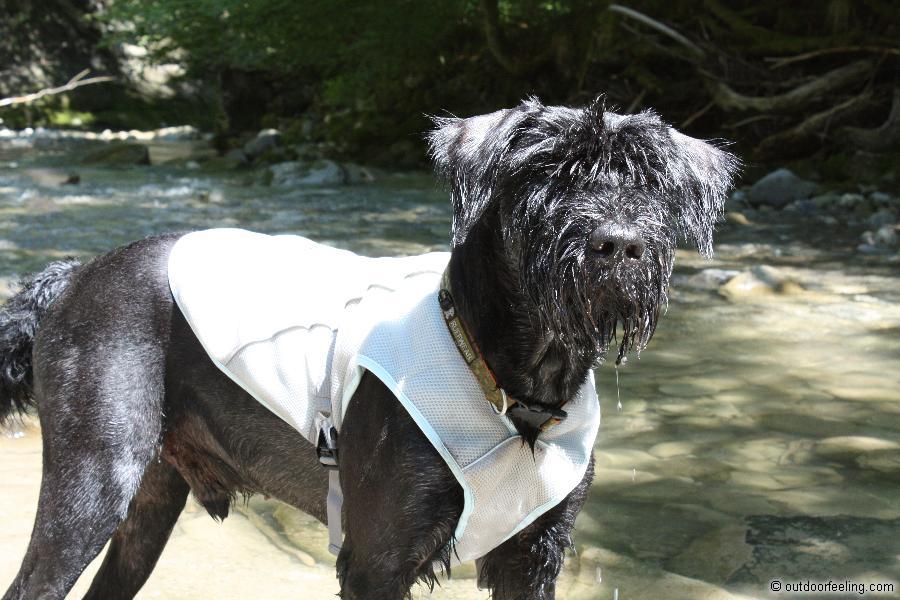 Ruffwear Swamp Cooler