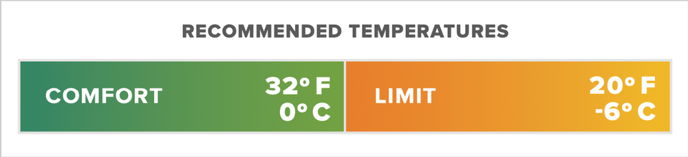 Thermarest Ohm 20F/-6C Regular Balsam