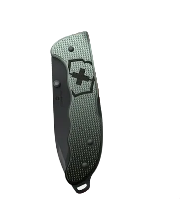 Victorinox Evoke BS Alox Grau