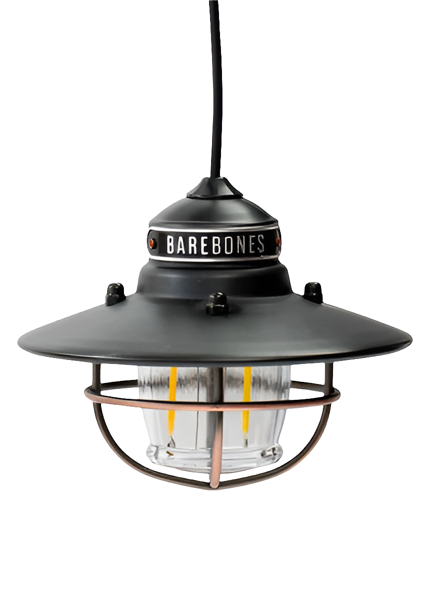 Barebones Edison Pendant Light