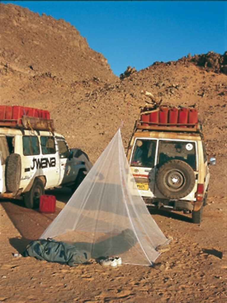 Brettschneider Moskitonetz 2