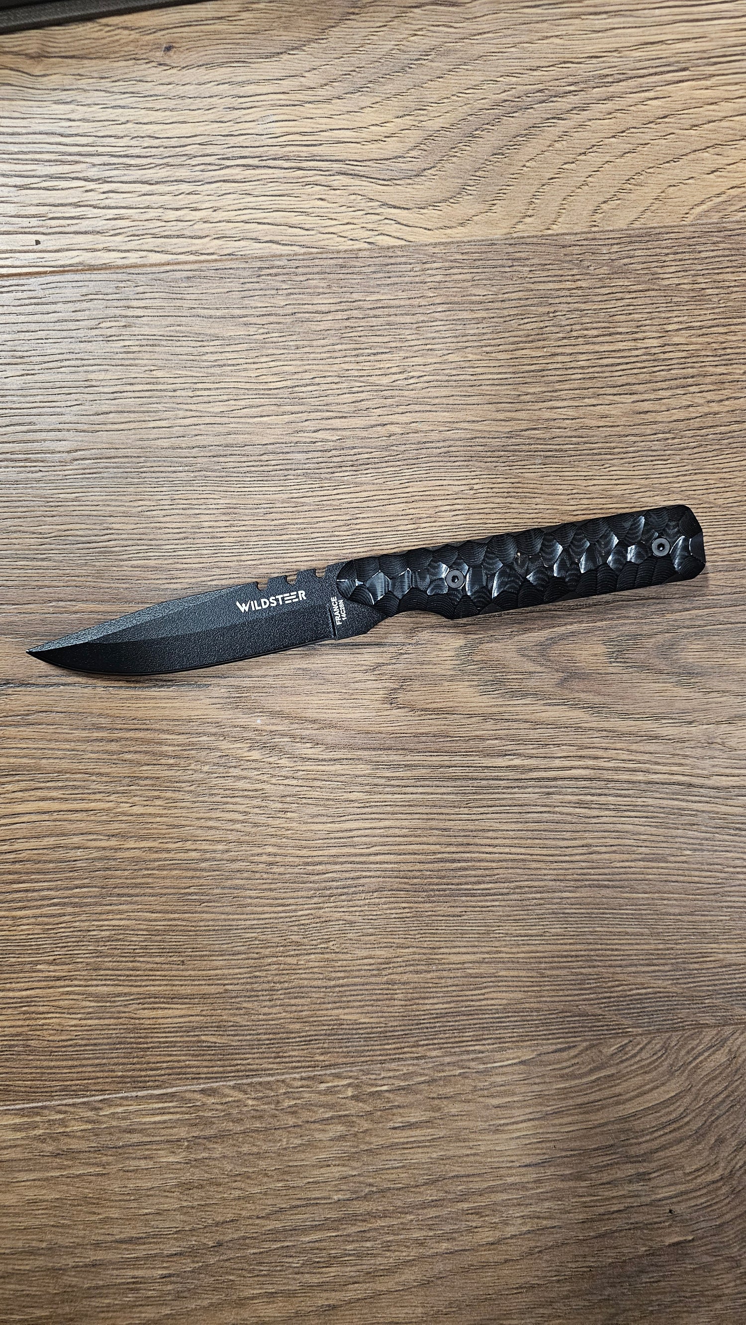 Wildsteer Baby Wild 20ans