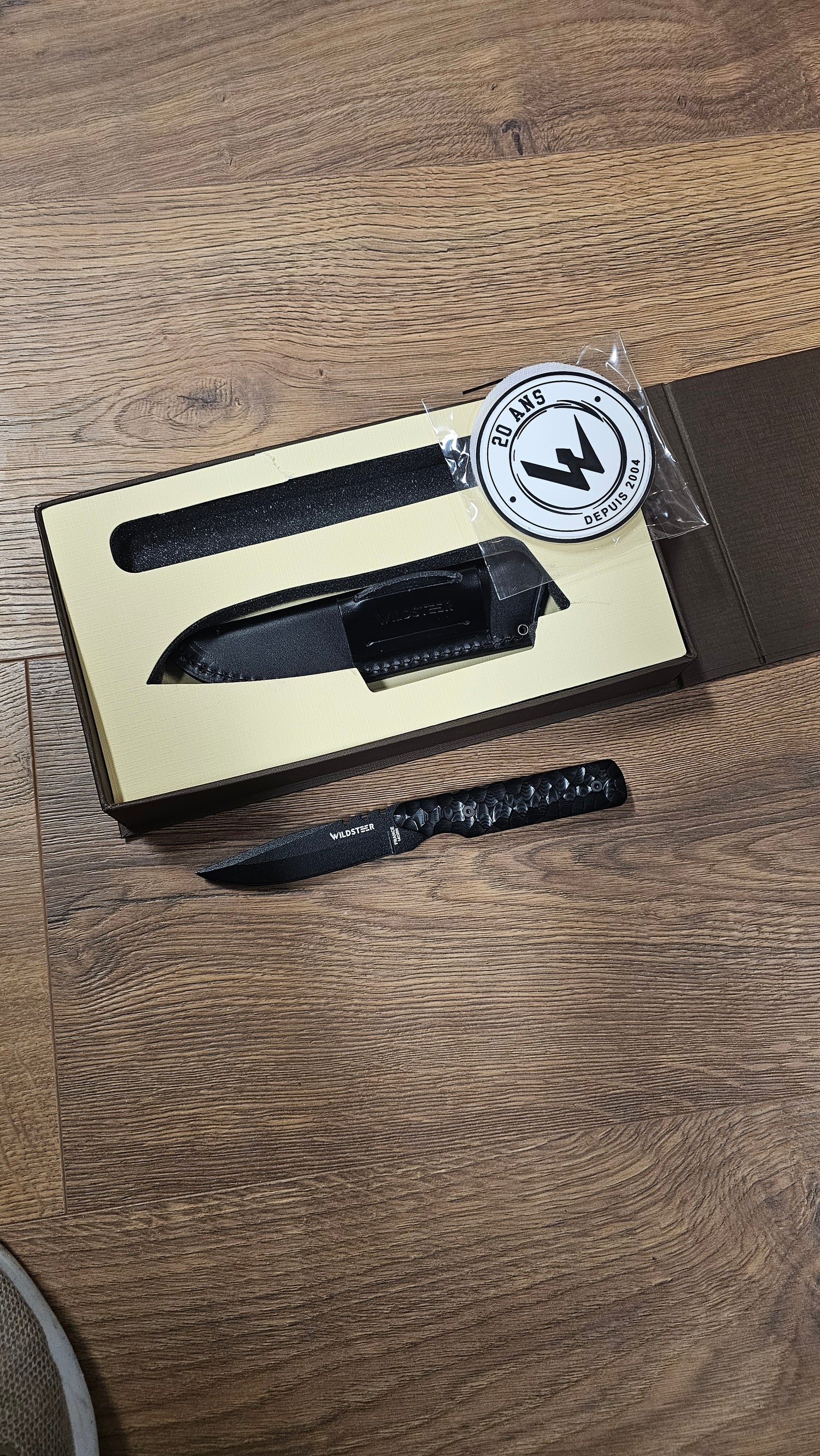 Wildsteer Baby Wild 20ans