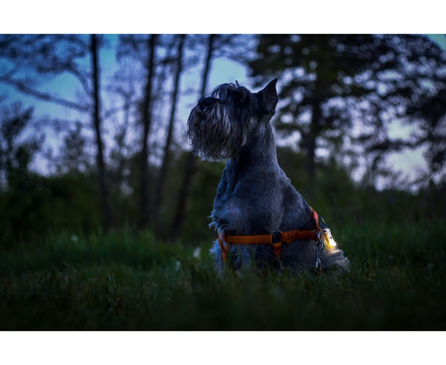 Armytek Zippy Minilampe