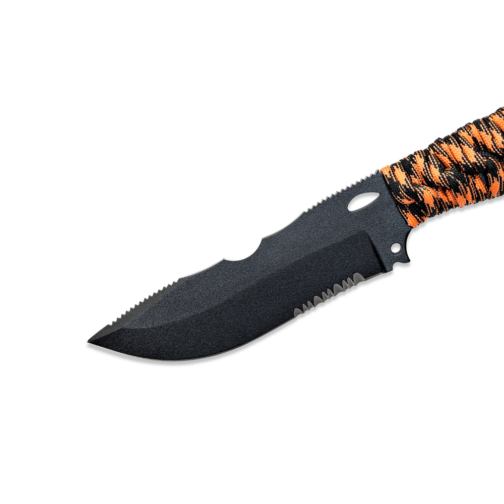 Wildsteer Adventurer