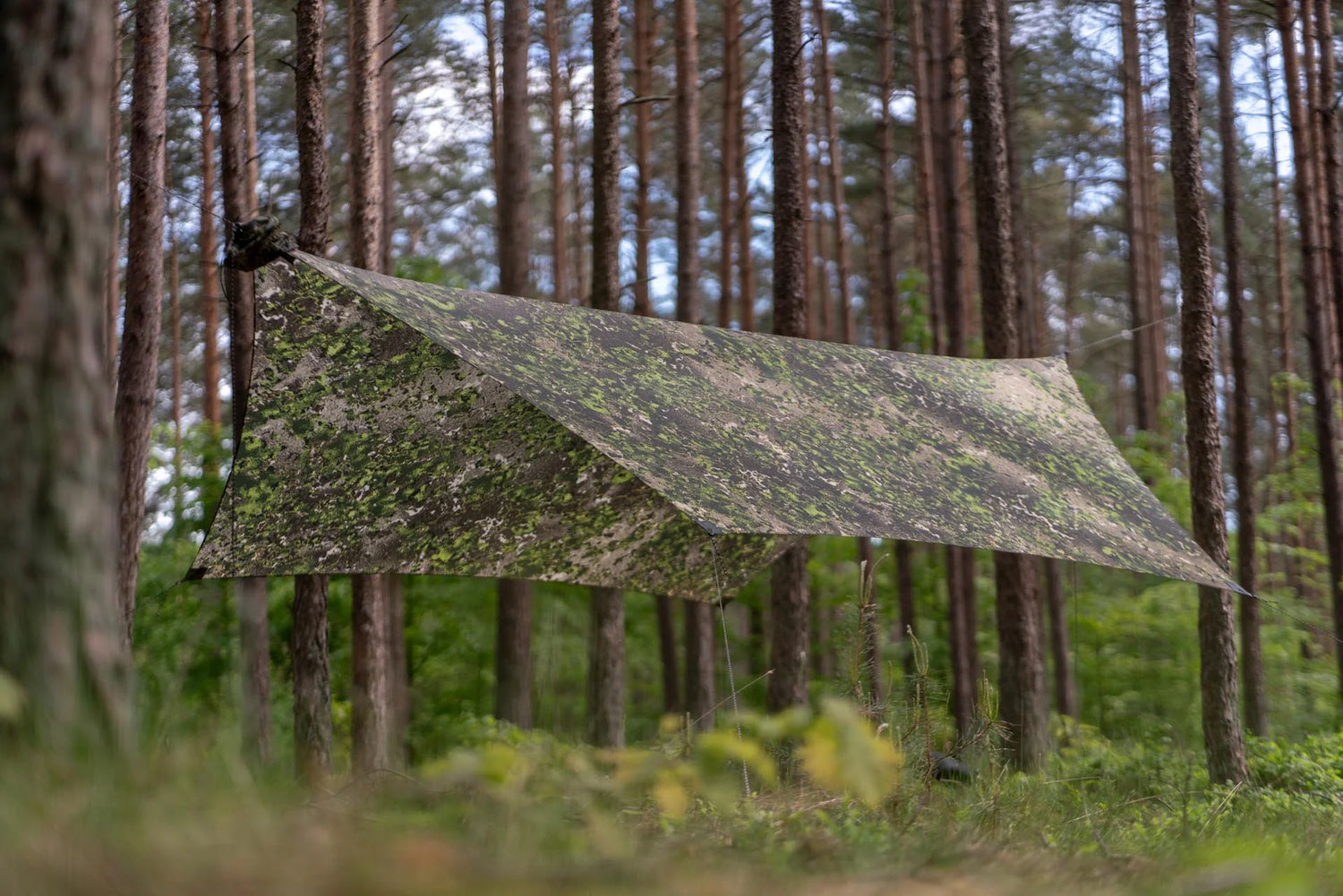 Lesovik Heksa Tarp