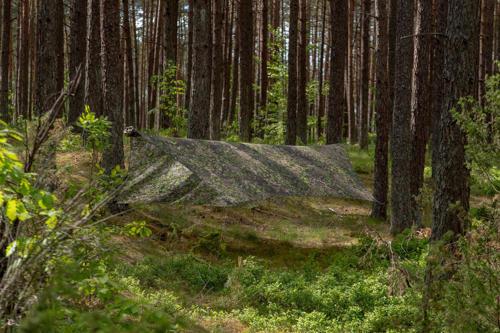 Lesovik Heksa Tarp FARBA F2 Terskog