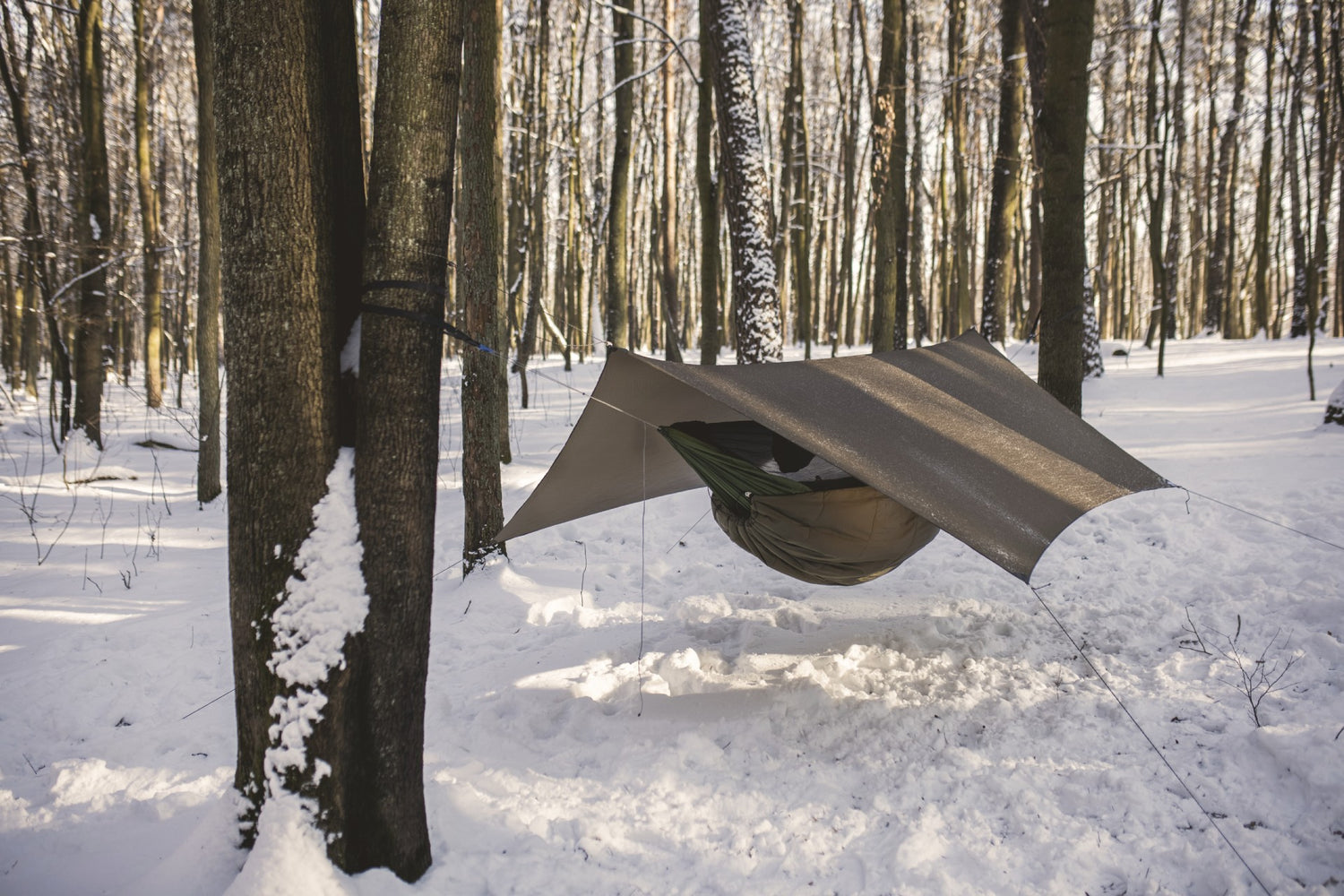 Lesovik Heksa Tarp