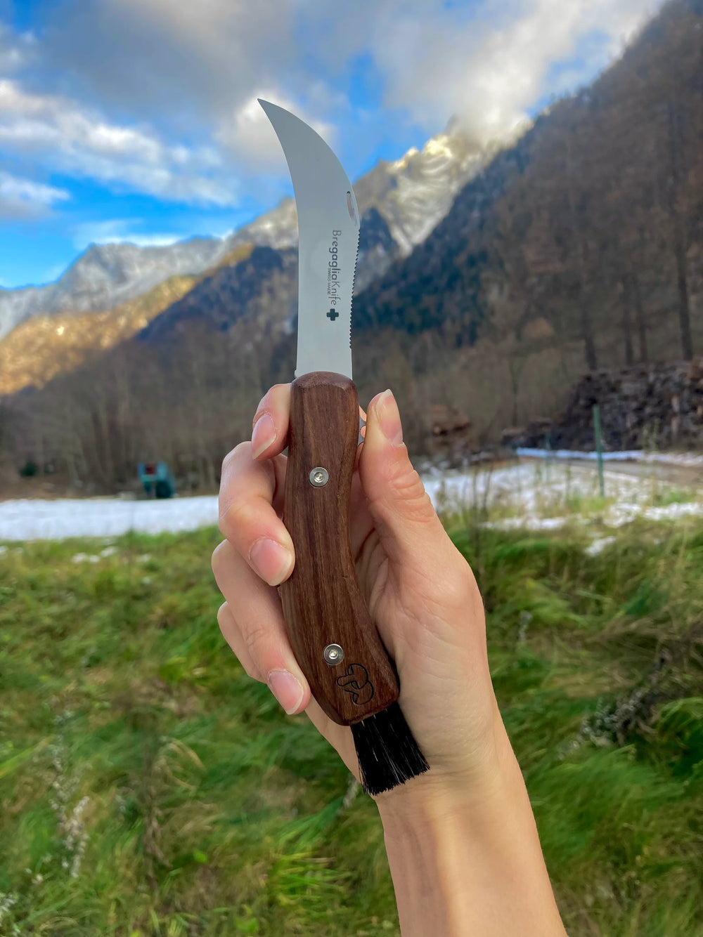 BregagliaKnife Pilzmesser (Nussbaum) – Schweizer Spezialklappmesser für die Pilzernte
