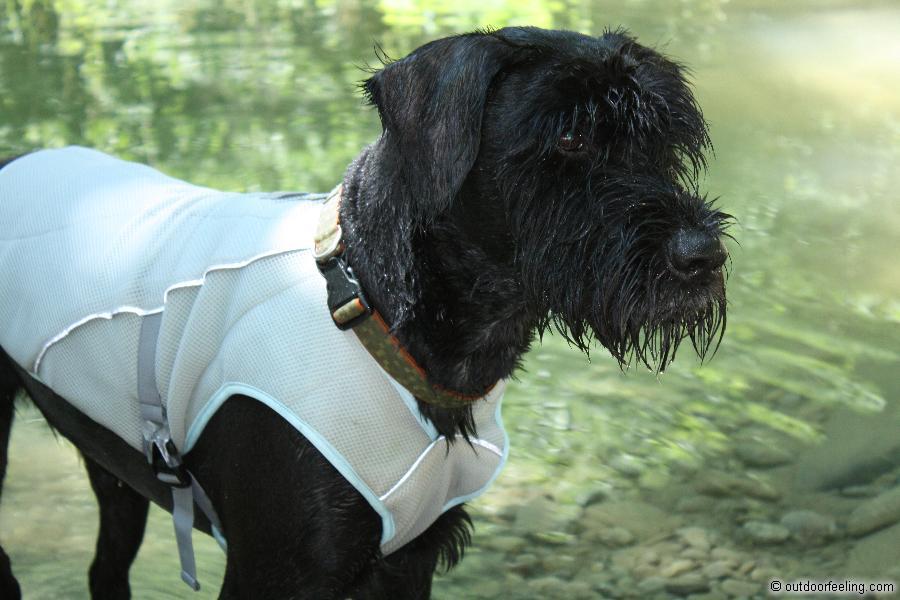 Ruffwear Swamp Cooler
