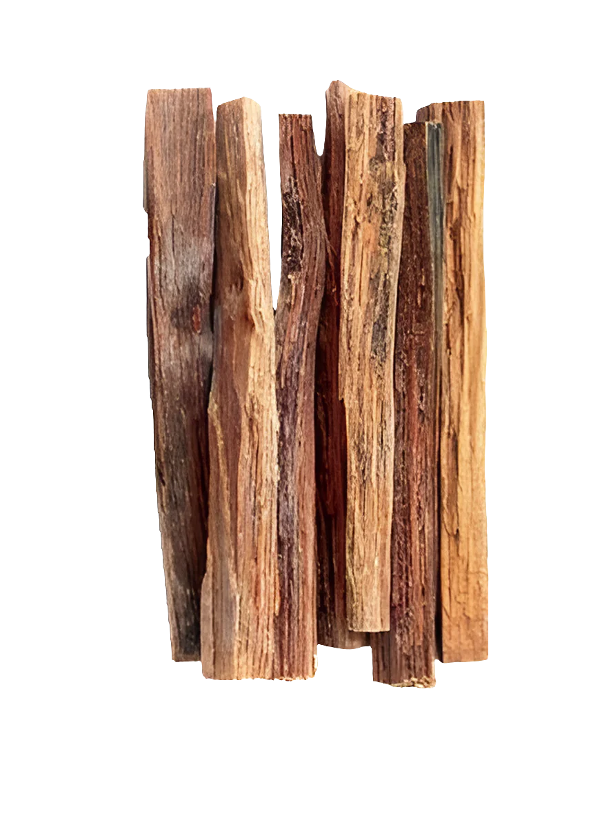 Feuerstarter Set