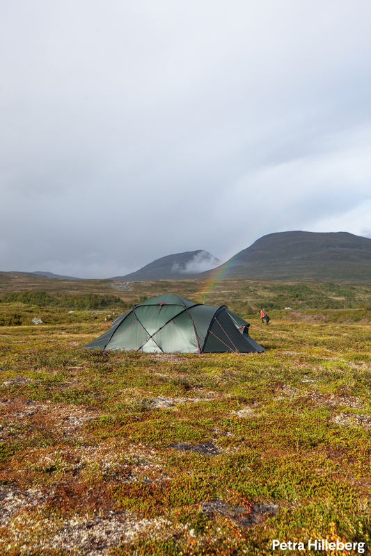Hilleberg Saivo 4 Ausstellungszelt Sand